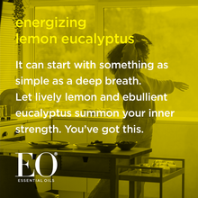 Load image into Gallery viewer, Lemon & Eucalyptus Hand Soap