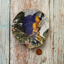 Load image into Gallery viewer, Love Ladies Beach Shells~ in many designs