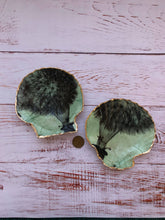 Load image into Gallery viewer, Love Ladies Beach Shells~ in many designs