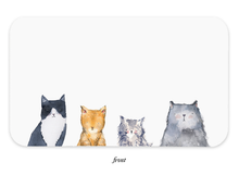 Load image into Gallery viewer, Cat's Meow Little Notes®