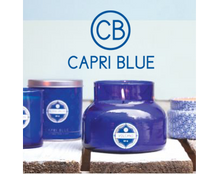 Load image into Gallery viewer, Capri Blue Volcano Signature Petite Candle
